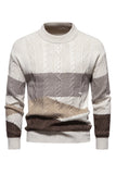 Suéter de jersey trenzado blanco con cuello redondo y bloques de color para hombre