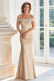 Champagne Off the Shoulder Swine Vestido Madre de la Novia con Apliques