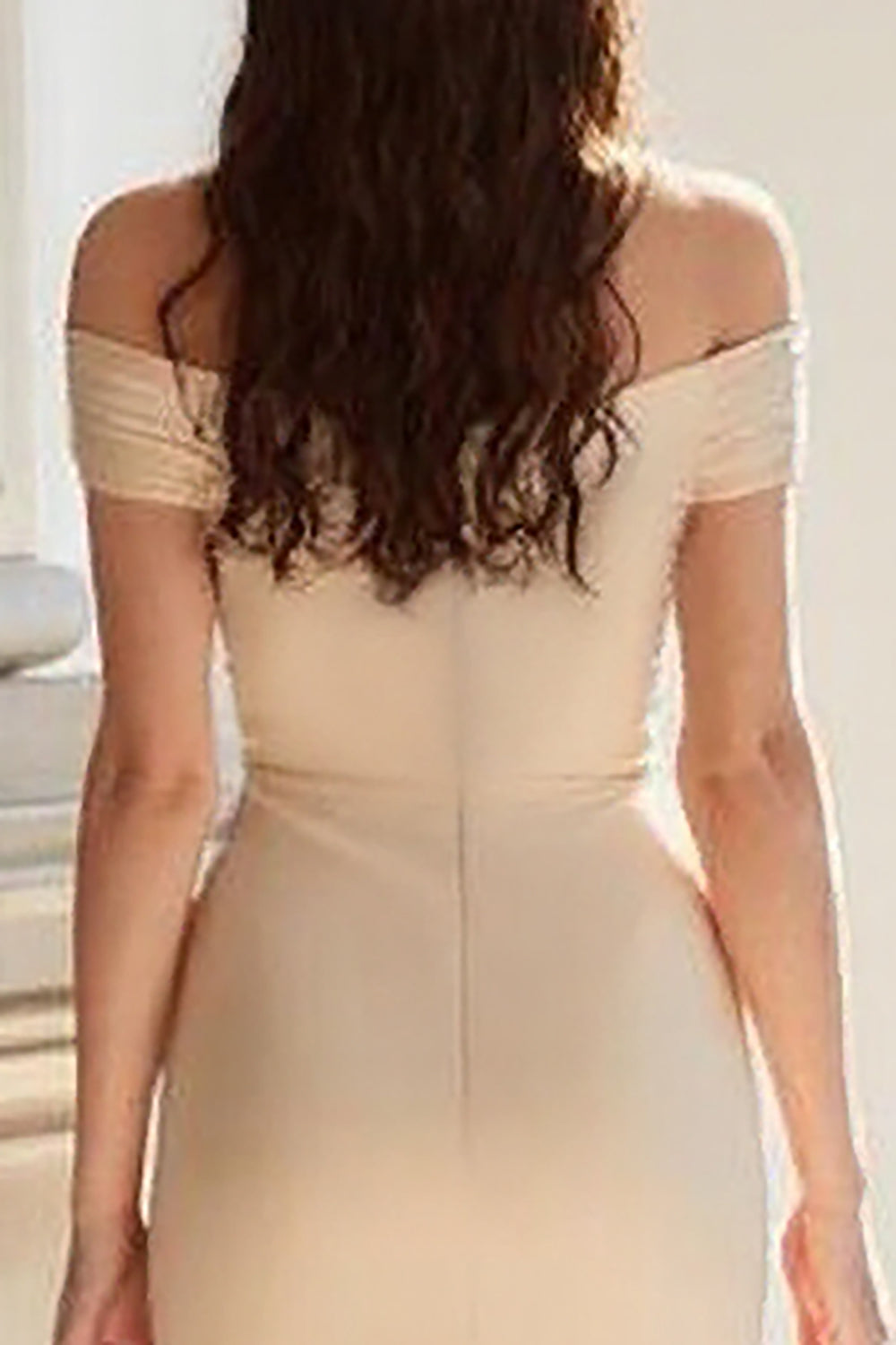 Champagne Off the Shoulder Swine Vestido Madre de la Novia con Apliques