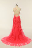Coral Backless Vestido largo de fiesta con apliques