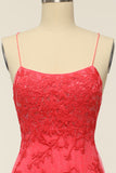 Coral Backless Vestido largo de fiesta con apliques