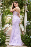 Escote Corazón Sirena Vestido de Graduación Con Apliques Púrpura