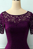 Vestido de encaje bodycon de uva