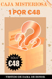 ZAPAKA CAJA MISTERIOSA 1Pc Vestido de Dama de Honor