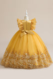 Blue A Line Tulle Girl Dress con bordado