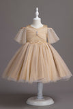 Una línea del hombro Tul burdeos vestido de niña