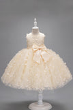 Champagne Princess Butterfly Tul Vestido de niña con lazo