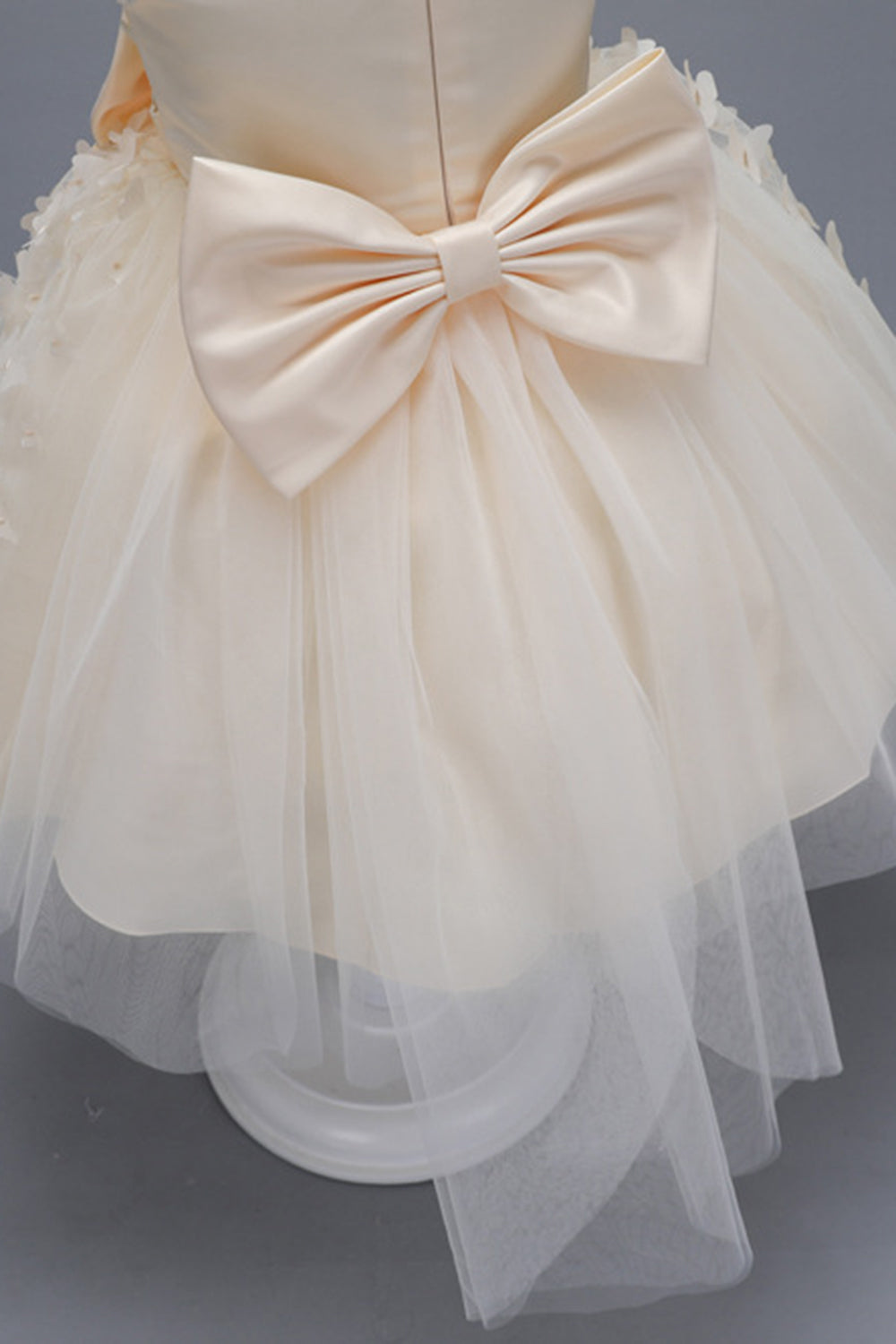 Champagne Princess Butterfly Tul Vestido de niña con lazo