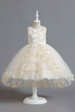 Champagne Beading High Low Butterfly Girls Vestidos