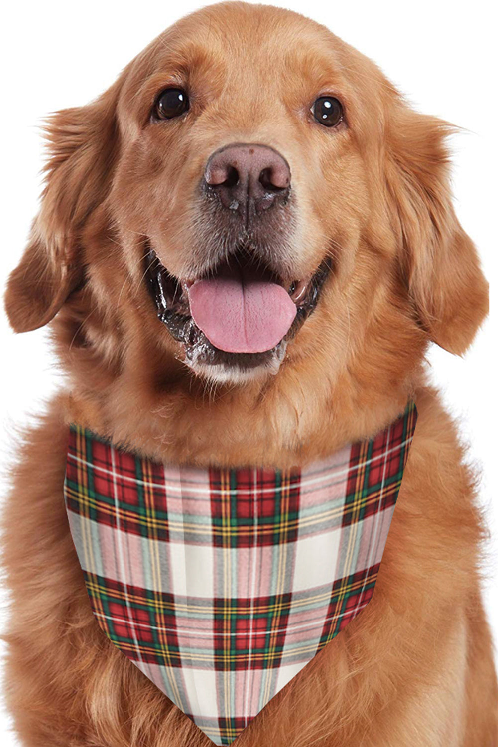 Conjunto de pijama a juego de la familia navideña Pijama a cuadros rojos