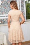 Vestido midi de encaje verde