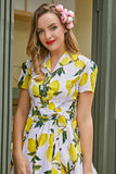 Vintage impresión 1950s Swing vestido