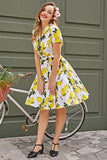Vintage impresión 1950s Swing vestido