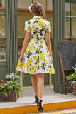 Vintage impresión 1950s Swing vestido