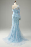 Azul Cielo Un Hombro Sirena Vestido de Fiesta Con Apliques