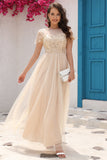 A Línea Tul Vestido de Fiesta Con Apliques Albaricoque