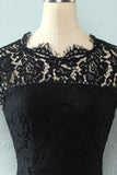 Vestido de encaje bodycon negro