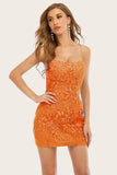 Vestido de encaje corto ajustado