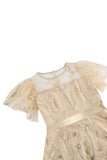 Albaricoque lentejuelas hoja bordada malla superposición elegante vestido vintage