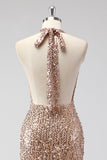 Glitter Champagne Sirena Halter Espalda Abierta Vestido de Fiesta Largo con Lentejas