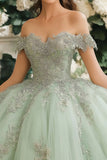 Vestido de Quinceañera de Tul con apliques de encaje Dusty Sage Off The Shoulder