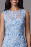 Vestido Mini Floral Bodycon de Tul de Tul Azul con Apliques de Encaje
