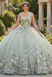 Vestido de quinceañera con escote cuadrado con flores de salvia y aplicación