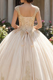 Vestido de baile de Quinceañera con escote en V con aplicación de champán
