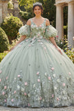 Vestido de baile verde salvia Flores 3D Princesa Quinceañera con mangas abultadas