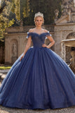 Vestido de baile de la princesa quinceañera con purpurina azul marino y purpurina