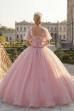 Vestido de gala de cuello redondo con aplicada rosa y mangas aleteadas