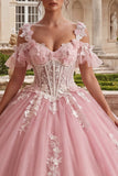 Vestido de baile rosa de hombros fríos con aplicada Quinceañera