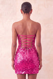 Vestido de bienvenida con lentejuelas brillantes de fucsia fucsia Bodycon