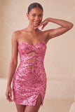 Vestido de bienvenida con lentejuelas brillantes de fucsia fucsia Bodycon