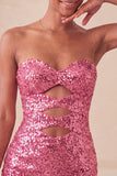 Vestido de bienvenida con lentejuelas brillantes de fucsia fucsia Bodycon