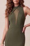 Sirena Oliva con cuello alto y tul bajo vestido formal midi