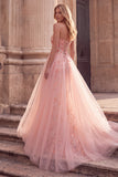 Vestido largo de graduación sin tirantes con bordado rosa A-Line y drapeado de tul