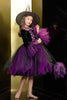 Cargar imagen en el visor de la galería, Brillante Negro y Púrpura Tul Vestido de Chica de Halloween