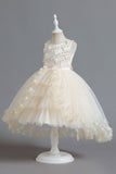 Champagne Beading High Low Butterfly Girls Vestidos