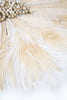 Cargar imagen en el visor de la galería, Perlas de marfil 1920s Abanico con plumas