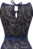 Navy Vintage Lace Halloween Vestido